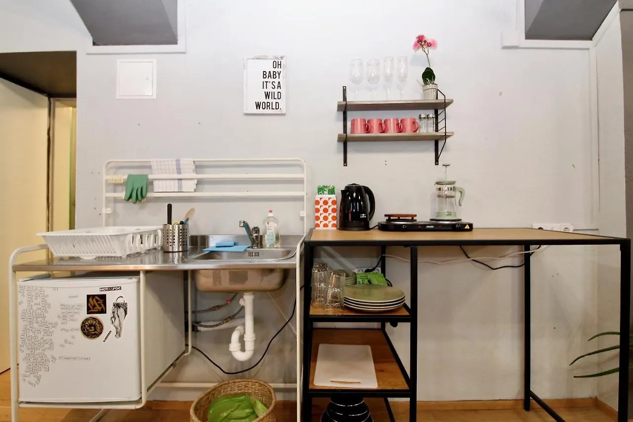 Apartment Artist Studio In City Center Vienna